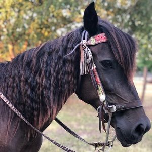 Meet your Posher, Alayna